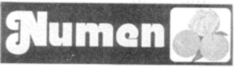 Numen Logo (DPMA, 01.02.2002)