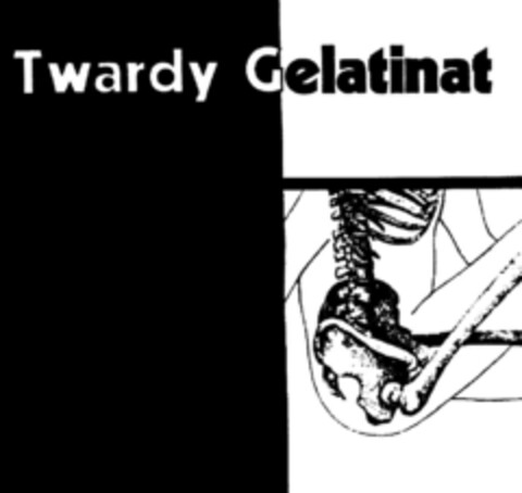 Twardy Gelatinat Logo (DPMA, 06.11.1991)