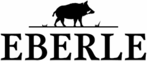 EBERLE Logo (DPMA, 10.06.2021)