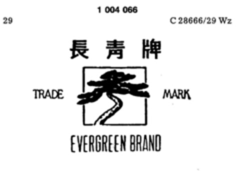 EVERGREEN BRAND TRADE MARK Logo (DPMA, 16.08.1979)