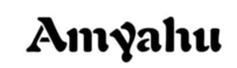 Amyahu Logo (DPMA, 04/29/2016)