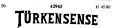 TÜRKENSENSE Logo (DPMA, 24.03.1899)