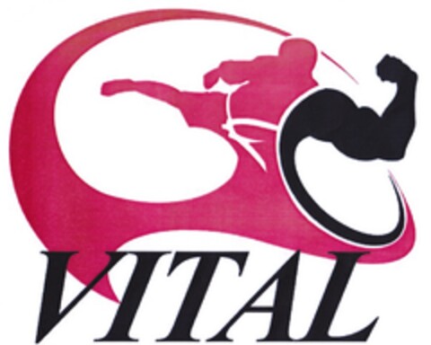 VITAL Logo (DPMA, 05/14/2012)