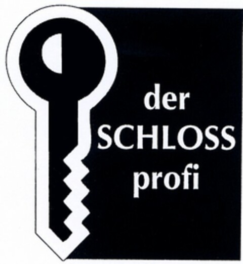 der SCHLOSS profi Logo (DPMA, 04/15/2004)