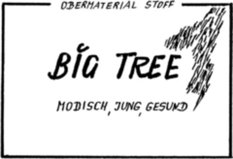 BIG TREE Logo (DPMA, 03/27/1993)