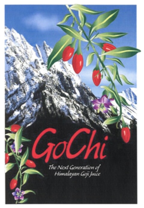 GoChi The Next Generation of Himalayan Goji Juice Logo (DPMA, 14.02.2008)