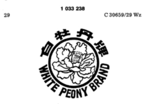 WHITE PEONY BRAND Logo (DPMA, 29.10.1981)