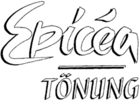 Epicea TÖNUNG Logo (DPMA, 06.06.1995)