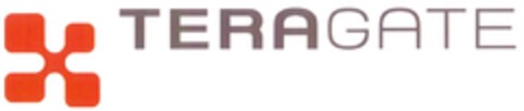 TERAGATE Logo (DPMA, 06.11.2010)