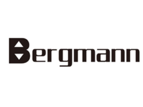 Bergmann Logo (DPMA, 12/29/2017)