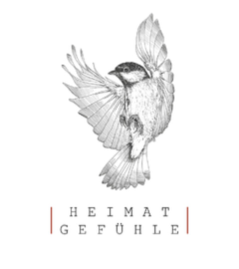 HEIMAT GEFÜHLE Logo (DPMA, 15.06.2019)