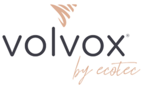 volvox by ecotec Logo (DPMA, 03.12.2020)