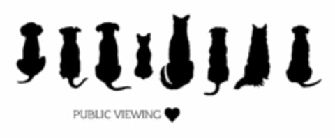 PUBLIC VIEWING Logo (DPMA, 05.03.2024)