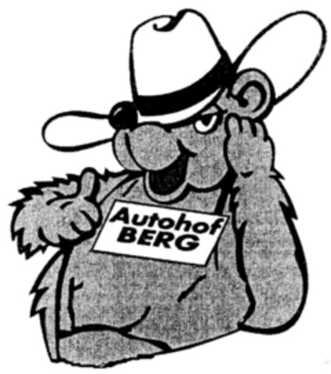 Autohof BERG Logo (DPMA, 09.08.1999)