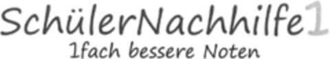 SchülerNachhilfe1 Logo (DPMA, 24.07.2014)
