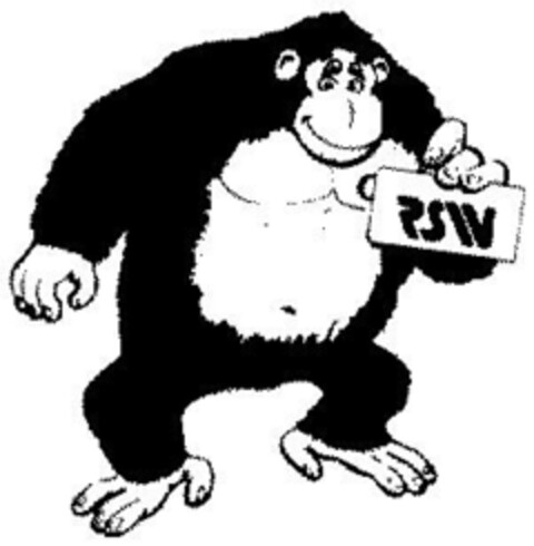 RSW Logo (DPMA, 11.03.1993)