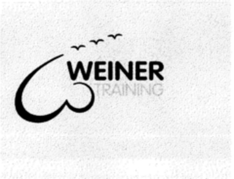 WEINER TRAINING Logo (DPMA, 01.12.2000)