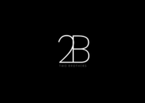 2B TWO BROTHERS Logo (DPMA, 06.06.2024)