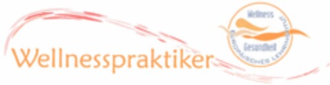 Wellnesspraktiker Wellness Gesundheit EUROPÄISCHES LEHRINSTITUT Logo (DPMA, 07/27/2005)