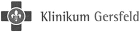 Klinikum Gersfeld Logo (DPMA, 08.05.2014)