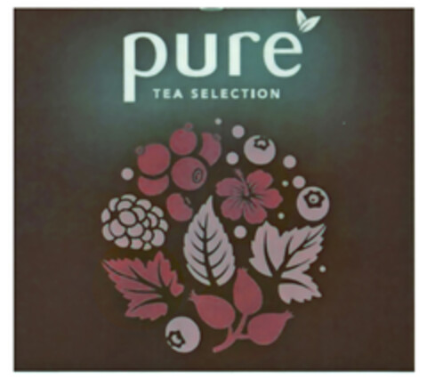 pure TEA SELECTION Logo (DPMA, 04.12.2019)