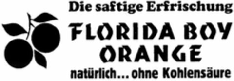 FLORIDA BOY ORANGE Logo (DPMA, 01.09.2004)