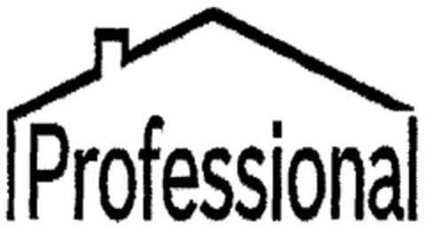 Professional Logo (DPMA, 08.05.2007)