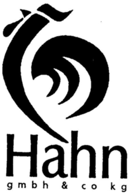 Hahn gmbh & co kg Logo (DPMA, 15.10.1997)