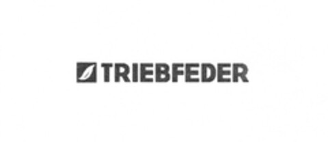 TRIEBFEDER Logo (DPMA, 16.05.2011)