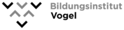 Bildungsinstitut Vogel Logo (DPMA, 18.12.2018)
