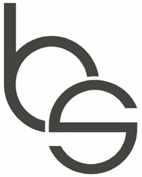 bs Logo (DPMA, 07/21/2020)