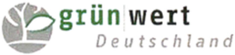 grün wert Deutschland Logo (DPMA, 14.06.2024)