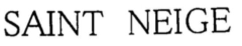 SAINT NEIGE Logo (DPMA, 02/03/1999)