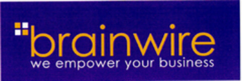 brainwire Logo (DPMA, 23.10.2000)