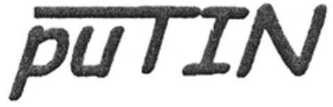 puTIN Logo (DPMA, 10/25/2014)
