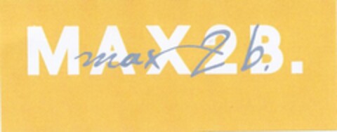 MAX2B. Logo (DPMA, 15.03.2004)