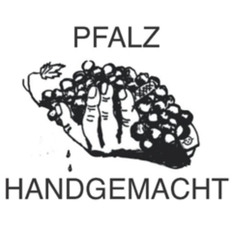 PFALZ HANDGEMACHT Logo (DPMA, 04.02.2016)