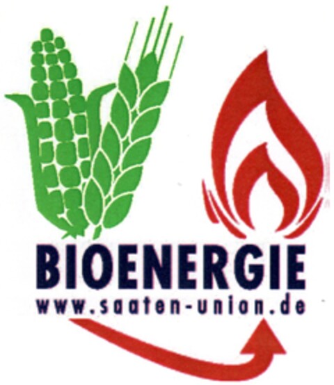 BIOENERGIE www.saaten-union.de Logo (DPMA, 28.09.2007)