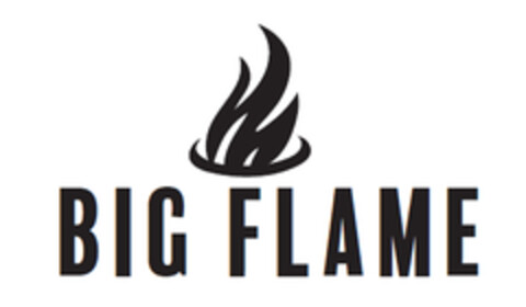 BIG FLAME Logo (DPMA, 08/08/2019)