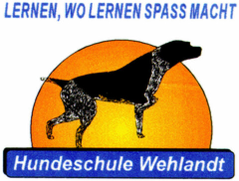 LERNEN, WO LERNEN SPASS MACHT Logo (DPMA, 12/06/1996)