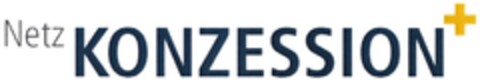 Netz KONZESSION+ Logo (DPMA, 26.03.2010)