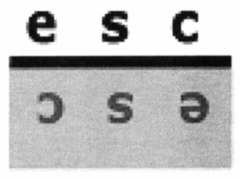 esc esc Logo (DPMA, 16.01.2006)