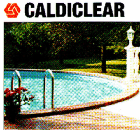 CALDICLEAR Logo (DPMA, 28.01.2000)