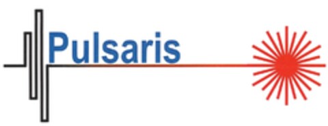 Pulsaris Logo (DPMA, 07.08.2010)