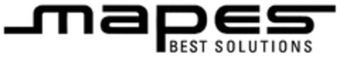 mapes BEST SOLUTIONS Logo (DPMA, 10/12/2010)