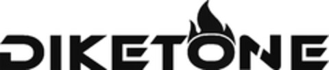 DIKETONE Logo (DPMA, 01/31/2024)