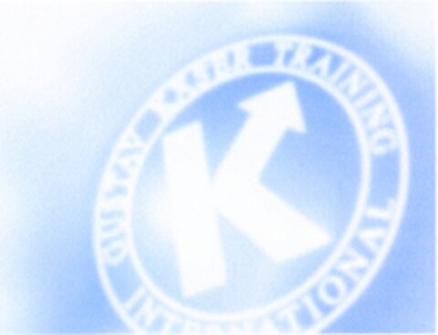 30670195 Logo (DPMA, 11/16/2006)