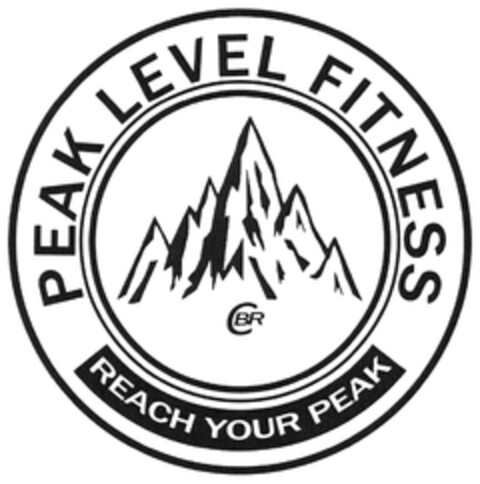 PEAK LEVEL FITNESS REACH YOUR PEAK Logo (DPMA, 20.07.2023)