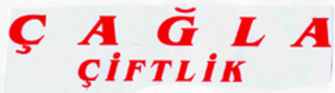 CAGLA CiFTLiK Logo (DPMA, 28.10.1999)