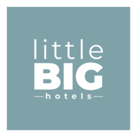 little BIG hotels Logo (DPMA, 18.04.2024)